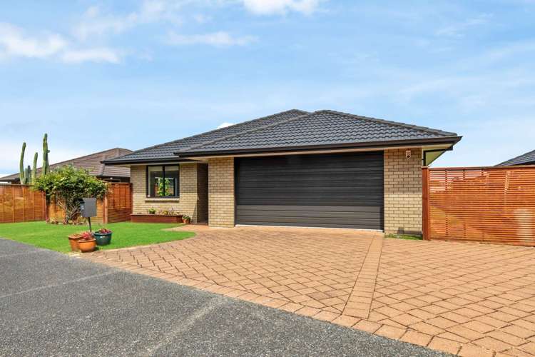 29 Malta Crescent Katikati_17
