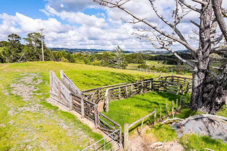 233 Shoemaker Road Waipu_35