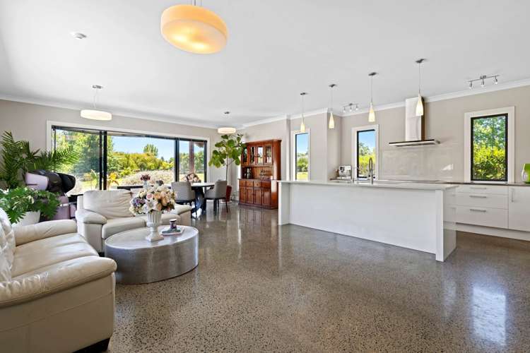 166J Postman Road Dairy Flat_16