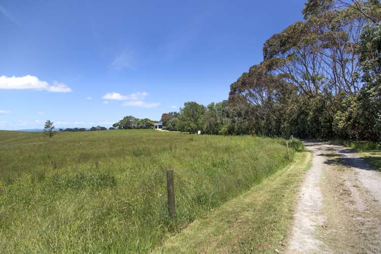 233 Tatarariki Spur Road Te Kopuru_19