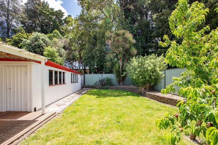 74 Moorhouse Street Morrinsville_17