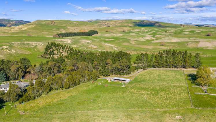 254 Wilder Road Porangahau_17