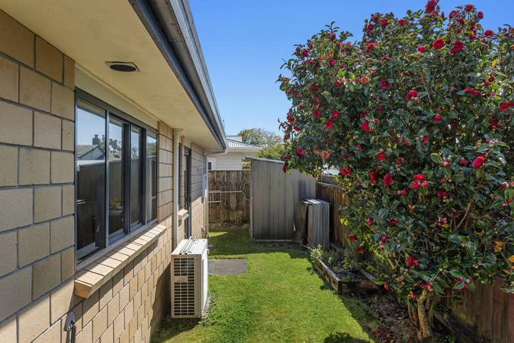 61A Domain Road Whakatane_13