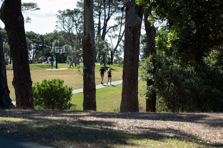 22 Wainui Avenue Pt Chevalier_14