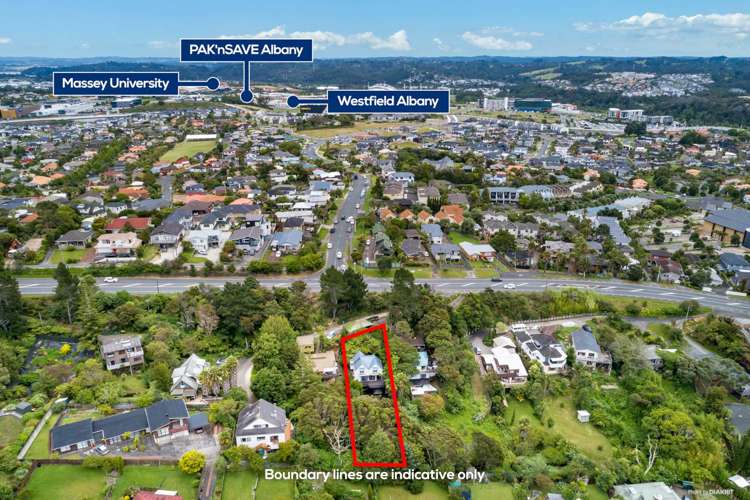 653 East Coast Road Browns Bay_5