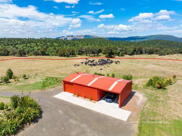 431 Kawakawa Road Marotiri_2