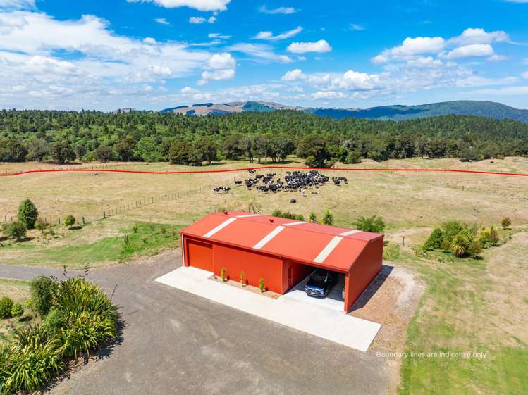 431 Kawakawa Road Marotiri_2