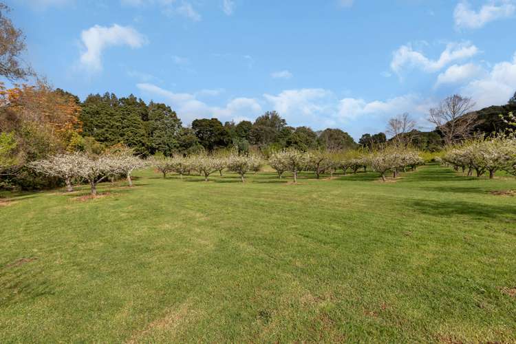 159 Tangihua Road Maungakaramea_16