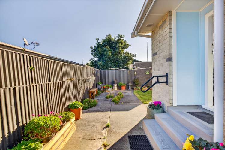 1/161A Nelson Crescent Napier South_9