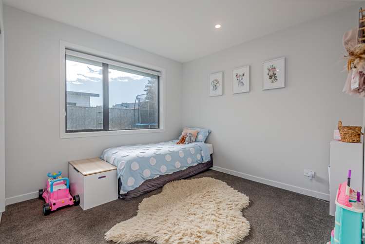 11 Monarch Drive Ashhurst_12