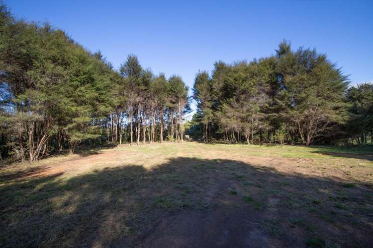 99 Otonga Valley Road Raglan_26