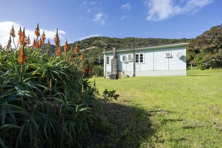 118 Garden Road Piha_4