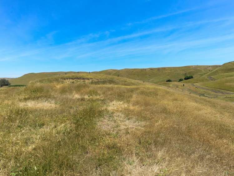 360 Valley Road Central Hawkes Bay Coastal_17