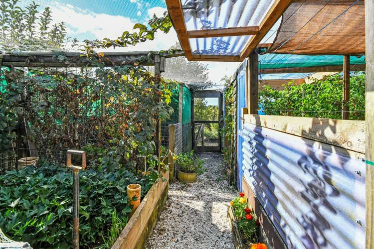 6 Puriri Avenue Kaiaua_28