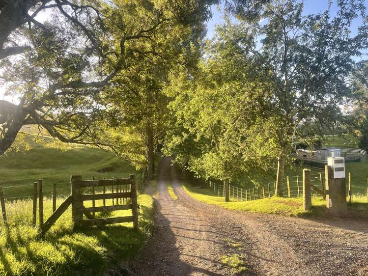 67 Tuhingamata Road Oruanui_12