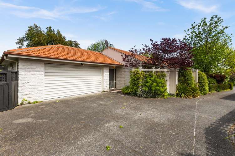 8A McHardy Street Havelock North_13