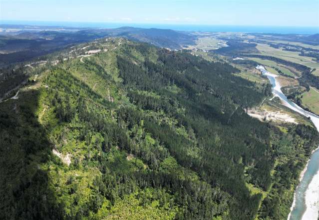 Humphreys Gully Road Hokitika_2