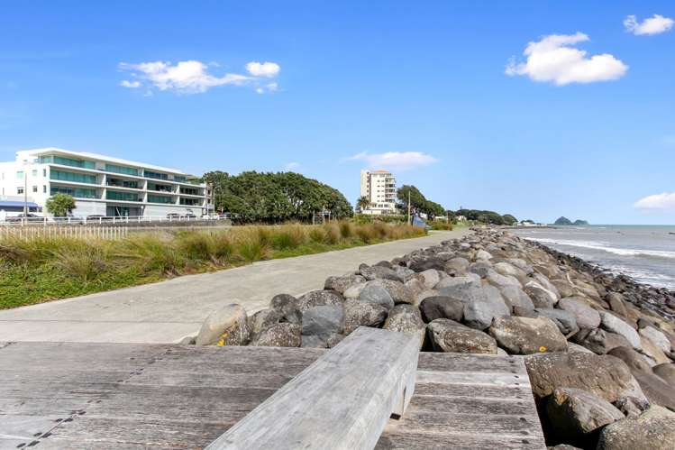 6/93 Au Saint Aubyn Street New Plymouth Central_16