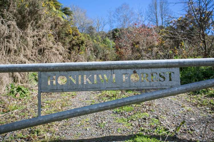 1753 Honikiwi Road Otorohanga_1