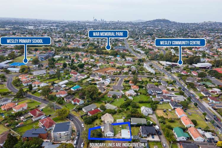 54 Potter Avenue Mt Roskill_12