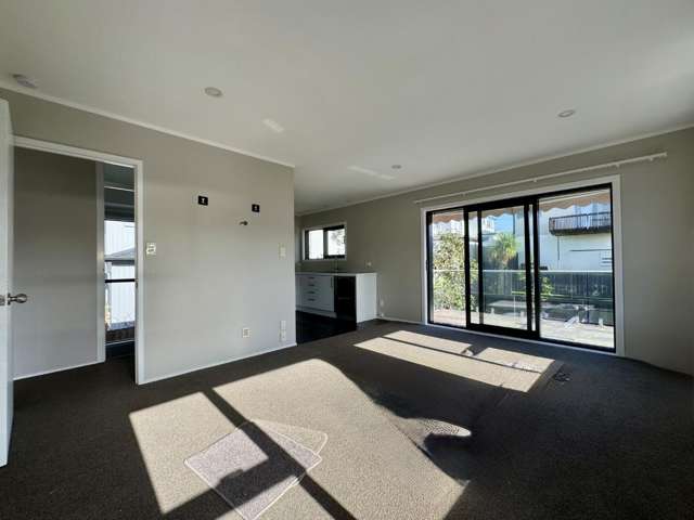 3/13 Athens Road Onehunga_2