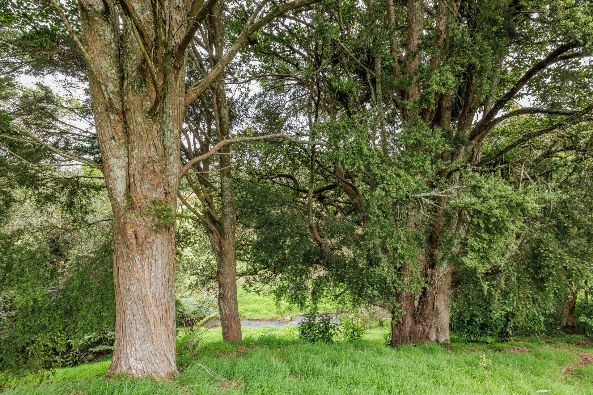 68 Waitaheke Road Ohaeawai_0