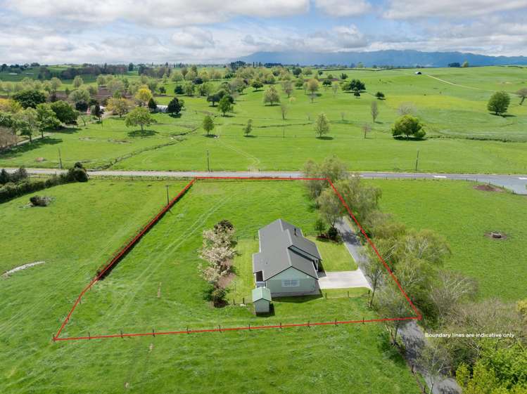 667 Hutchinson Road Morrinsville_22