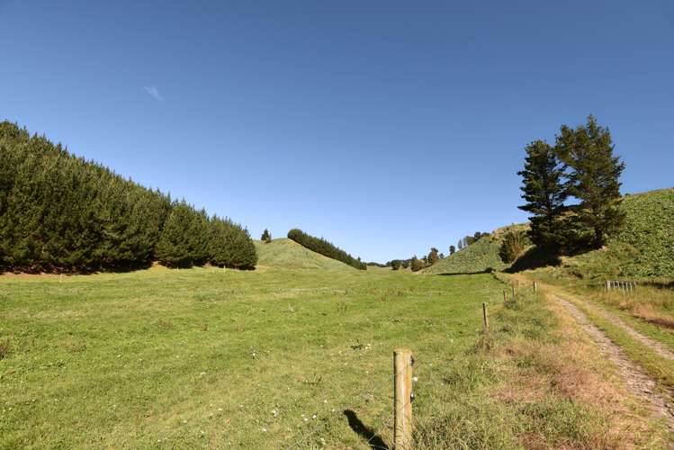 248 Lichenstein Road Okere Falls_24