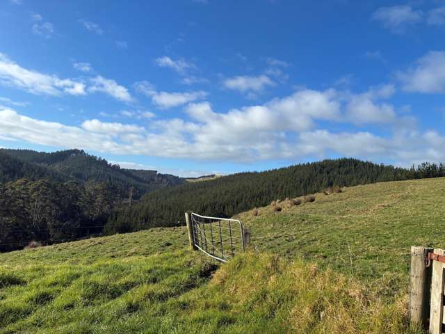 Milne Road Purua_3