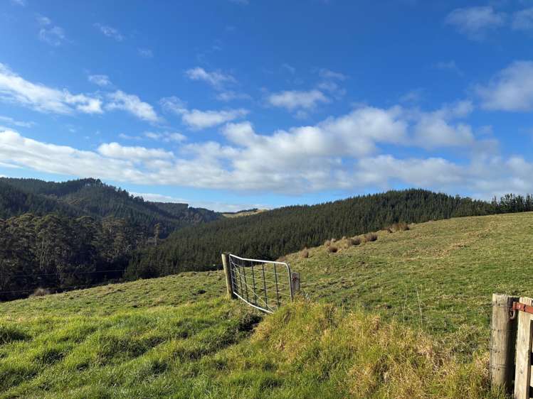 Milne Road Purua_3