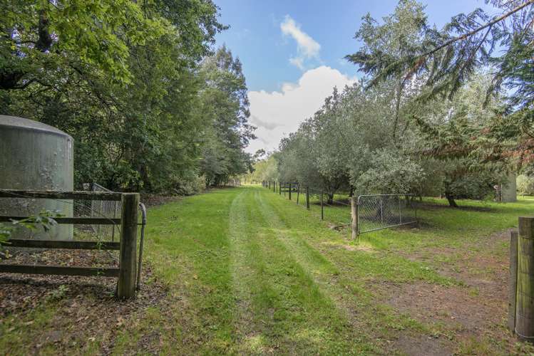 57 Station Road Loburn_11