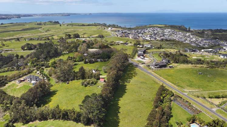 107 Vaughans Road Okura Bush_5
