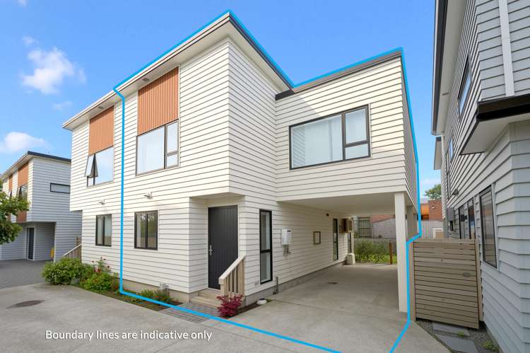 43B Fitzherbert Avenue_0