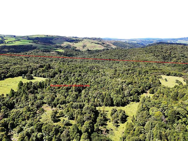 870 Marlborough Road Dargaville Surrounds_8