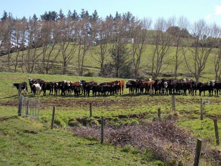 222 Lincoln Road Inglewood_14