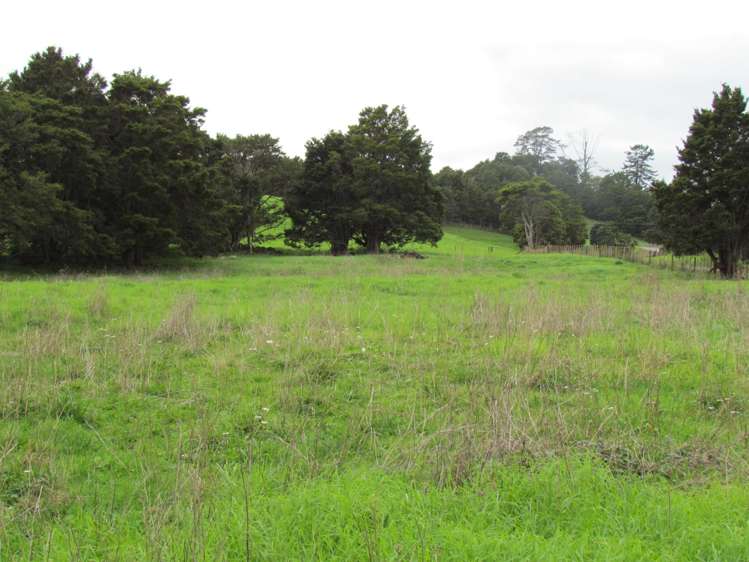 Carruth Road_1
