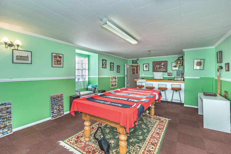 2 Avon Street Levin_12