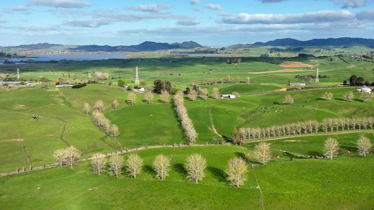 819 Waikokowai Road Ruawaro_29