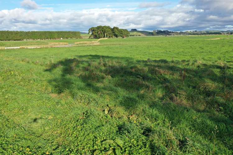 12A Pahiatua Pongaroa Road_5