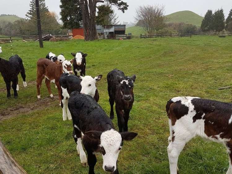 671 Frankley Road Hurworth_13