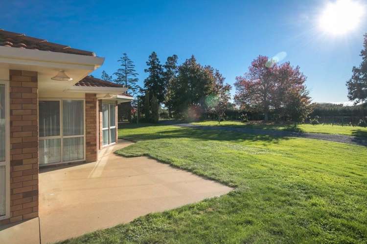 297 Bellevue Road Matangi_25