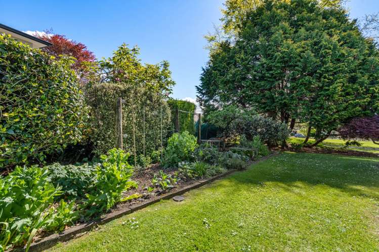 133 Margaret Drive Omokoroa_27
