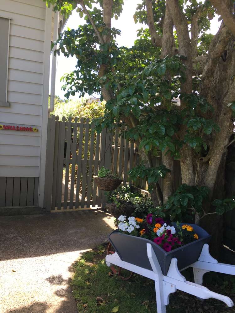 18 Rocklands Avenue Mount Eden_13