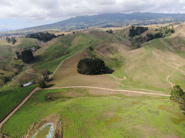 1026 Limeworks Loop Road Karamu_4