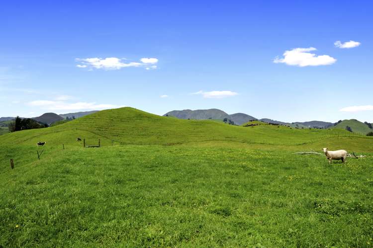 857a Poutakataka Road Atiamuri_22