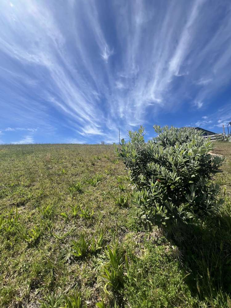 22 Lindsey Way Karikari Peninsula_8