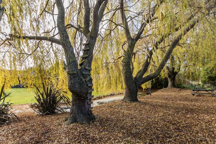 3/15 Thornton Close Leithfield_24