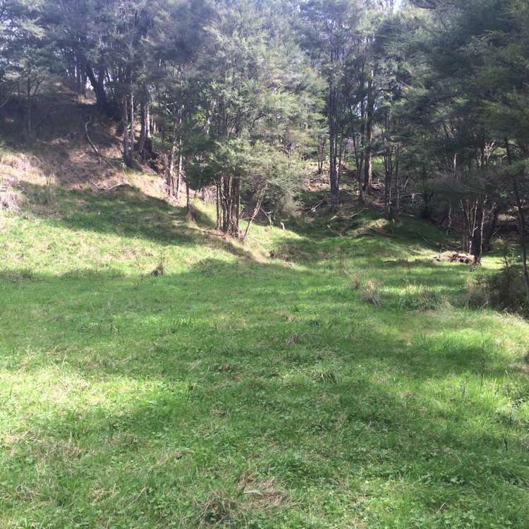 47 Moumoukai Hill Road Ness Valley_13