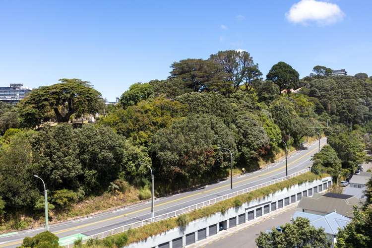 20 Parliament Street Thorndon_4