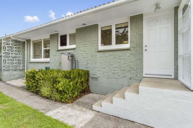 1/24a Ballarat Street Ellerslie_15